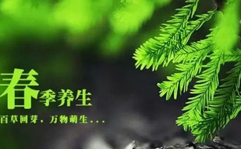 中医体质检测仪器建议春季「发陈」，常按这里，打开身体气血的通道