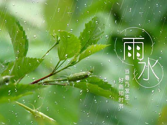 雨水|祛湿健脾！中医体质辨识仪器厂家普及养生知识！