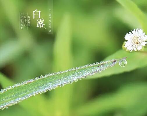 中医体质检测仪器厂家提醒大家白露之后，这些部位尽量少露