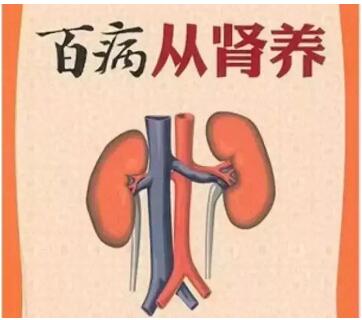 中医体质分析仪厂家提示中年养肾至关重要，应该怎么给肾脏功能补充“能量”？