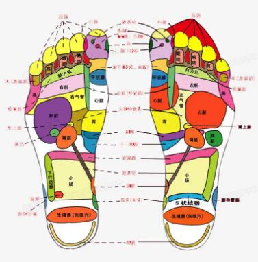 中医体质辨识机厂家提示寒湿型体质中医简述，使你完全和寒湿说再见