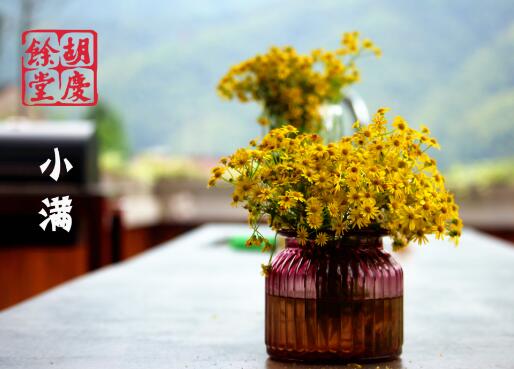 小满撞上520，中医体质分析仪器生产厂家提示“防湿热”