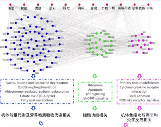 （中医体质辨识仪器）疫苗都阻挡不了的德尔塔病毒用中医治疗效果不错哦！