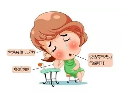 GK-6000型号中医体质辨识判定系统指导气虚体质的人应该怎样瘦身