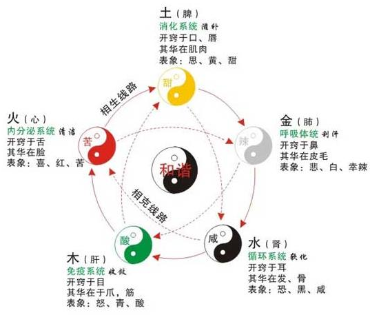 中医体质智能检测仪诊断剖析中医“五行”体质人群的健康养生之道